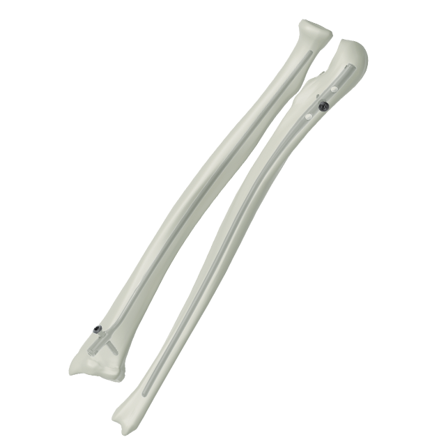 ระบบเล็บ Ramic intramedullary - Radius และ ulna Nail