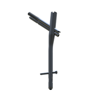 Trauhui Ramic Intramedullary Nail System-Proximal Femoral Nail （TRT11）