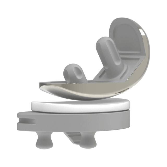 Artroplastia Unicompartimental do Joelho Translide FB-MB